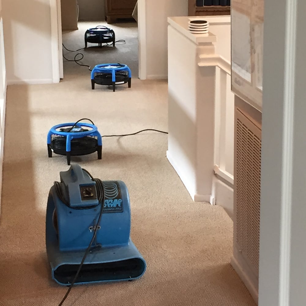 Agoura Hills Carpet Cleaner